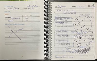 Notebook example: transfer fidelity
