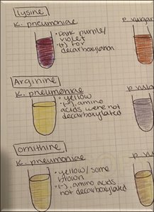 Laboratory notebook guidelines