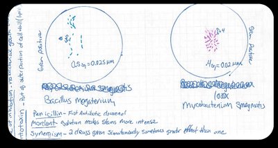 Notebook example: cropped data