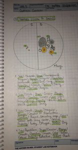 Notebook example: organized data