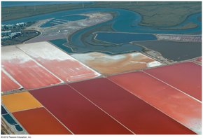 Salt ponds, habitat for halophiles
