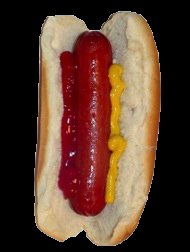Analogy of antigen presentation as a hot dog in a bun