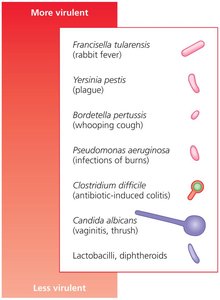 Relative virulence of some microbial pathogens