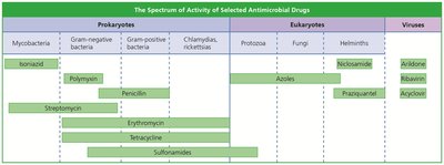 Spectrum of activity of selected antimicrobial drugs