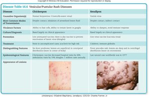 Table summarizing vesicular/pustular rash diseases