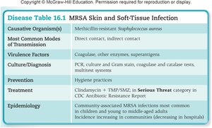 Table summarizing MRSA skin and soft-tissue infection