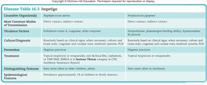 Table summarizing impetigo features