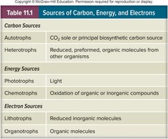 Table of sources of carbon, energy, and electrons