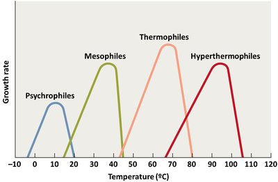 Temperature classes of microbes