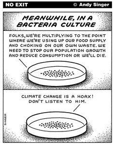 Continuous culture in a chemostat