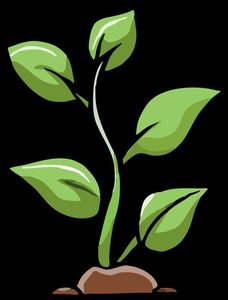 Illustration of a plant, representing the role of microbes in supporting plant life and nutrient cycling