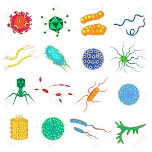 Illustration of various microorganisms