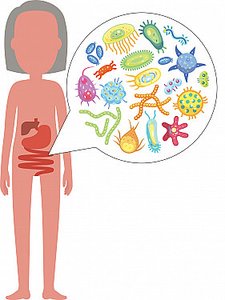 Diagram of human body with microbiota, illustrating the human microbiome