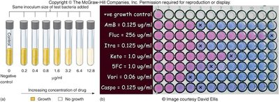 Dilution test for MIC determination