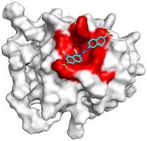 Drug design: molecule fitting into protein active site