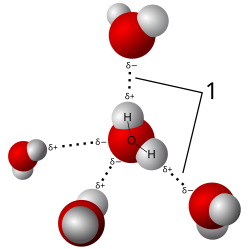 Hydrogen bonding between water molecules