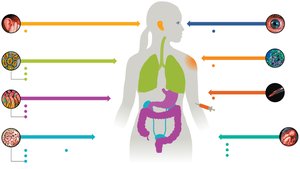 Diagram showing major portals of entry for pathogens in the human body