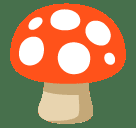 Fungi