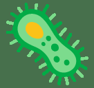 Bacteria