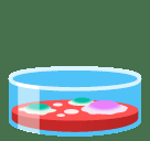 Archaea