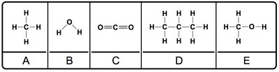 Examples of organic molecules and hydrocarbons