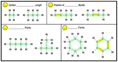 Variations in carbon backbones