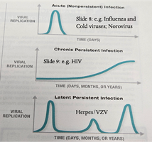 Graph of acute, chronic, and latent viral infection patterns