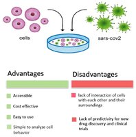Diagram of cell culture for virus growth
