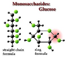Glucose structure