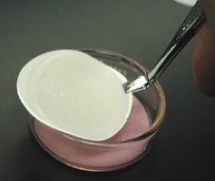 Transferring membrane filter to differential media