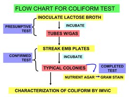 Flow chart for coliform test
