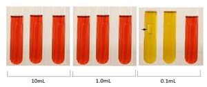 Phenol red lactose broth tubes showing fermentation results