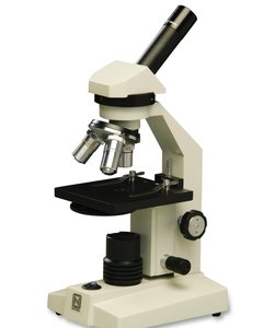 Brightfield compound microscope