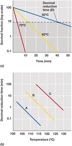 Decimal reduction time and thermal death time