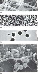 Types of microbiological filters