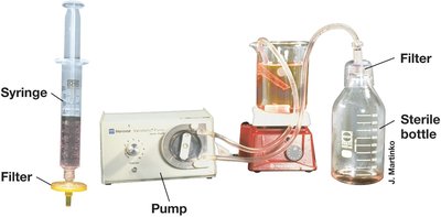 Filter sterilization with disposable unit