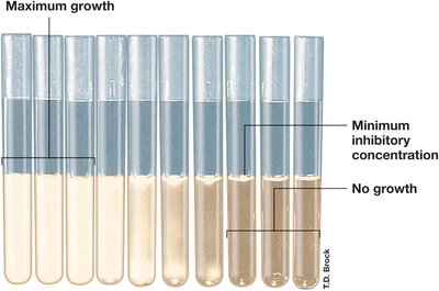 MIC test tubes