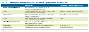 Transport processes across bacterial cytoplasmic membranes