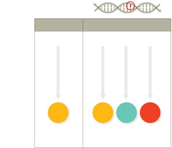 Mutation effects diagram