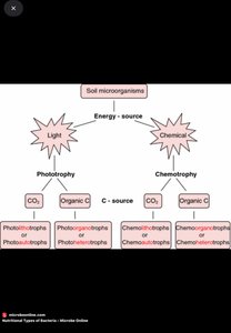Microbial nutritional types diagram