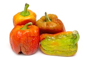 Wrinkled, physically spoiled bell peppers