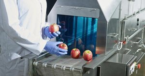 Cold plasma treatment of apples