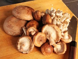 Variety of edible mushrooms