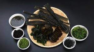 Variety of edible seaweeds