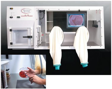 Anaerobic chamber