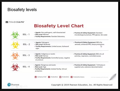 Biosafety level chart