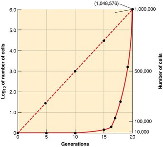 Growth curve plotted logarithmically and arithmetically
