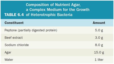 Composition of nutrient agar