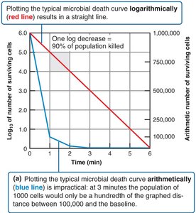 Microbial death curve: logarithmic vs arithmetic plotting