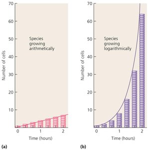 Arithmetic vs. logarithmic growth